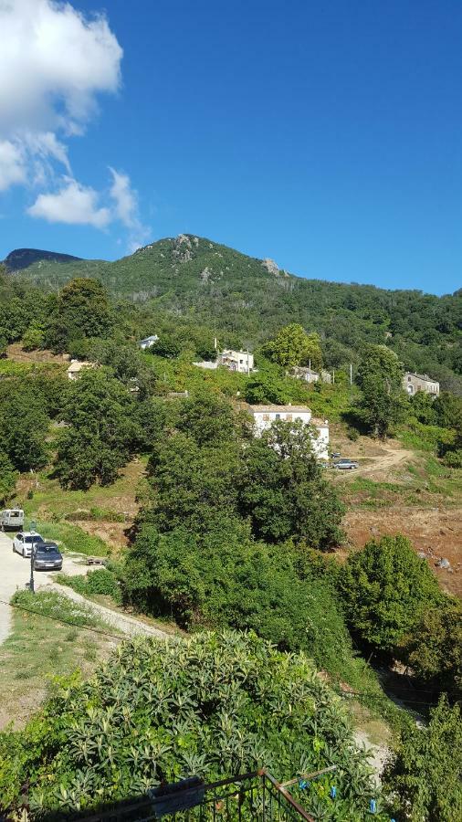 English Club in Corsica B&B Porri Esterno foto