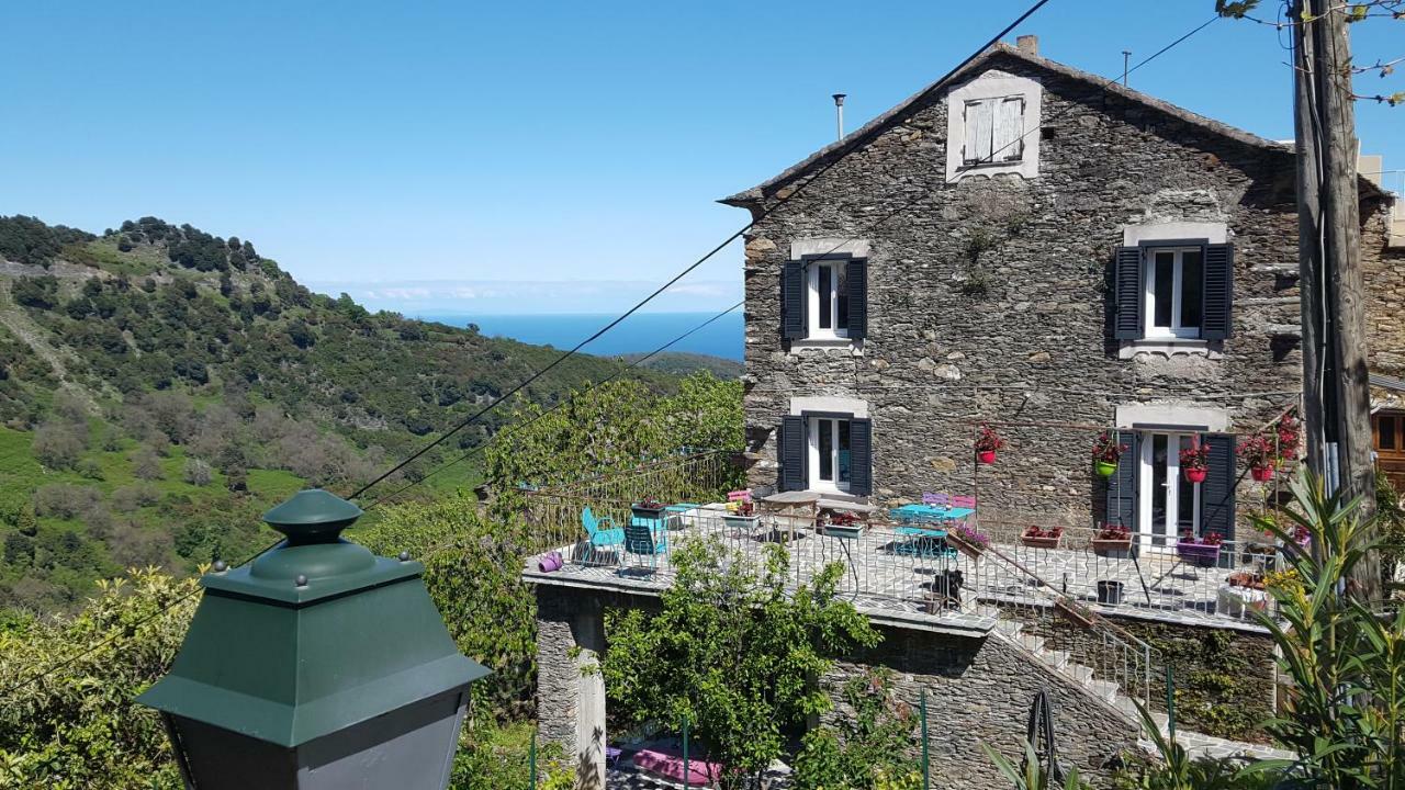 English Club in Corsica B&B Porri Esterno foto