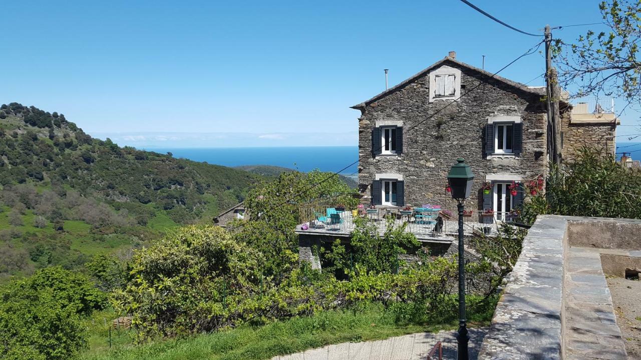 English Club in Corsica B&B Porri Esterno foto